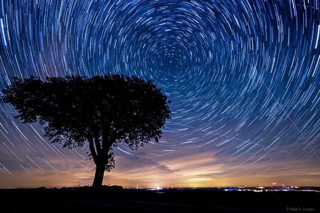 Light painting à l’arbre Carafe – Frédéric Leroux photographe