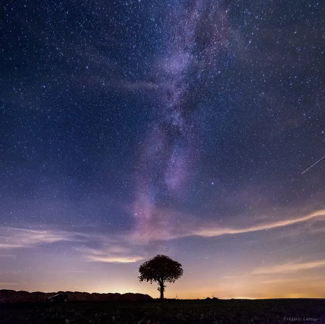 Light painting à l’arbre Carafe – Frédéric Leroux photographe