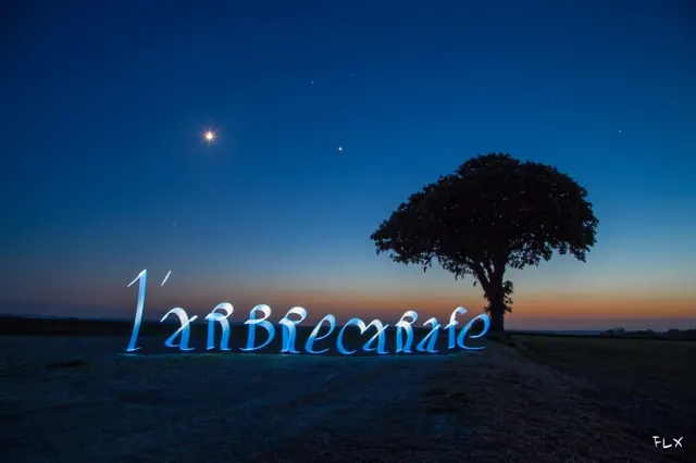 Light painting à l’arbre Carafe – Frédéric Leroux photographe