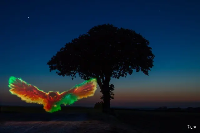Light painting à l’arbre Carafe – Frédéric Leroux photographe