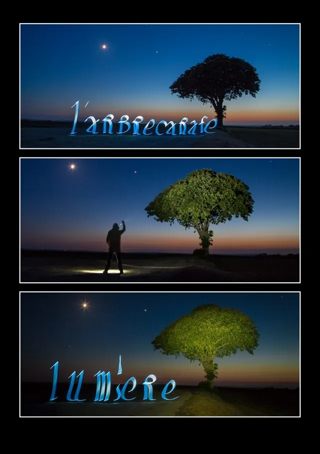 Light painting à l’arbre Carafe – Frédéric Leroux photographe