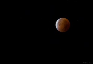 FLX_1208-2 