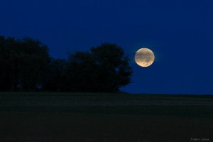 FLX_1409 